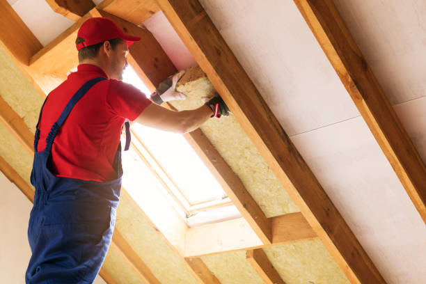 Types of Insulation We Offer in Schoolcraft, MI